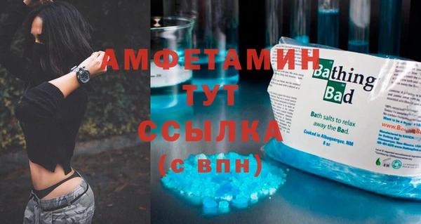 шишки Абинск