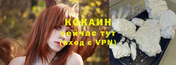 шишки Абинск