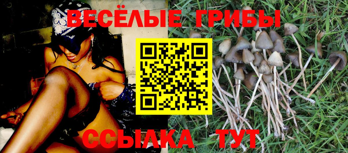Галлюциногенные грибы Magic Shrooms  цена наркотик  Псилоцибиновые грибы Psilocybe  Ялта  Вход с VPN 